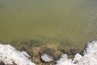 
DSC00360